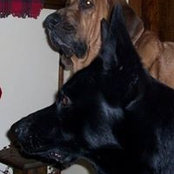 Sharon Miller's photo