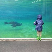 Grant Cooksey's photo