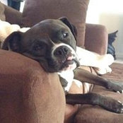 Tanya Hall's photo
