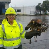 Robin Murbach's photo