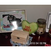 Tina Smith's photo