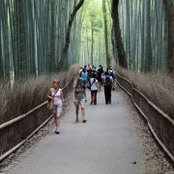 Foto di 黃欣雅