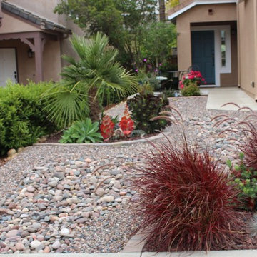 Dry River Bed