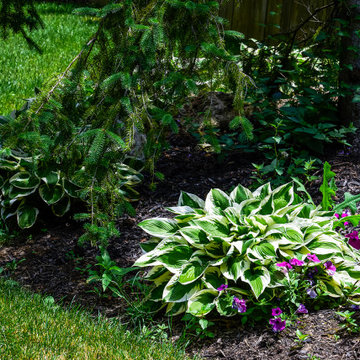 Project Charter Oaks: Jardin Du Paradis
