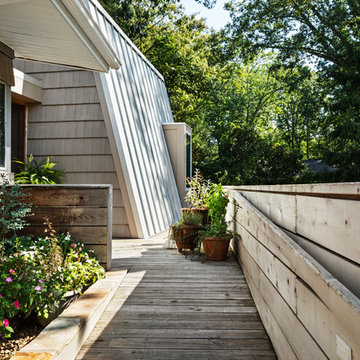 Grandma's Tree House - Entry Ramp
