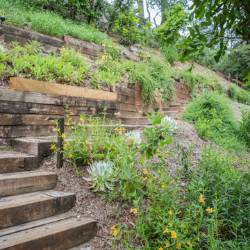 Hillside Steps