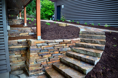 Photo of a modern landscaping in Seattle.