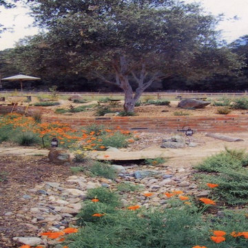 Natural Drainage