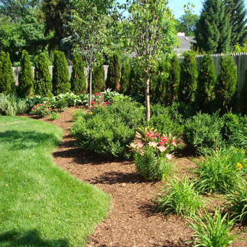 Backyard Privacy