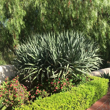 Drought Tolerant Landscapes