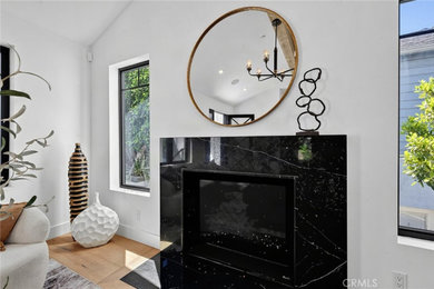 Living room - contemporary living room idea in Los Angeles