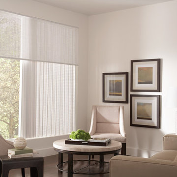 Allure Transitional Shades