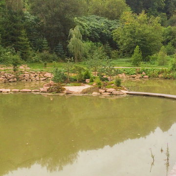 Etang jardin japonais