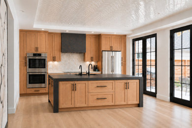 Kitchen - modern kitchen idea in DC Metro with shaker cabinets and an island