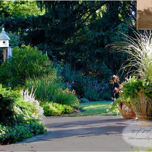 front landscaping ideas