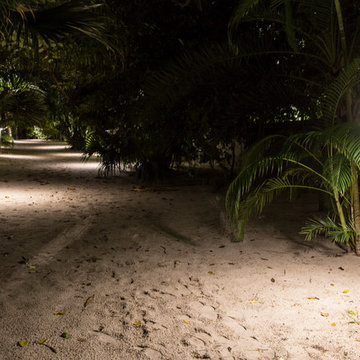 South Florida Sandy Hammock and Grass Yard in Delray Beach