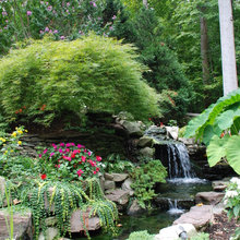 pond landscaping