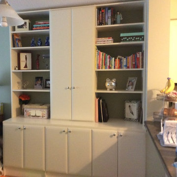 Condo Custom Storage