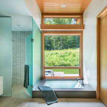 Master bathroom window concept