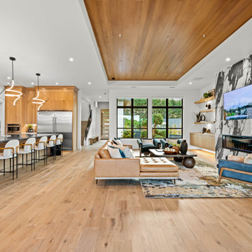 Vivid Best of Show Parade of Homes Winner 2023