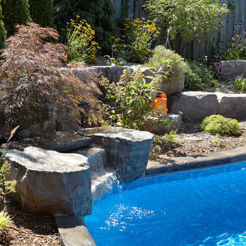 Backyard Paradise with Trinity Inground Pool