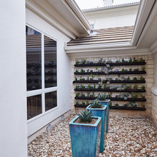 vertical herb vegetables garden