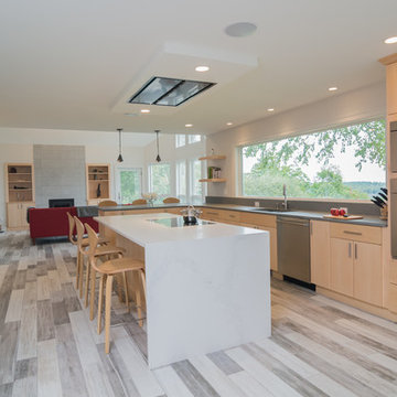 Full-Access Contemporary Kitchen