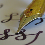 Andrew Young's photo