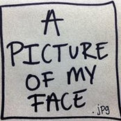 Sara O'Brien's photo