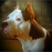 Connie Loring's photo