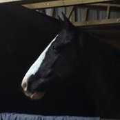 Lucy Durrant's photo