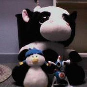 Photo de Wackey Moo Nurse