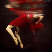 Phuong Quyets foto