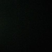 Laurent Feve's photo