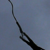 Joe Sontag's photo