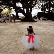 Stefanie Young's photo