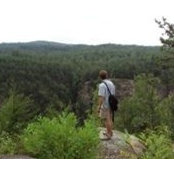 Rocky Hunt's photo