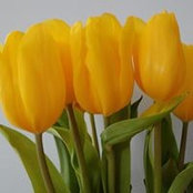 Mary Jacques's photo