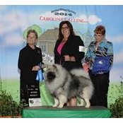 Lisa O'Dellick's photo