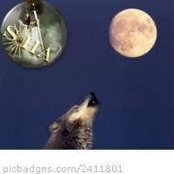 Tom Applegate's photo