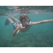 Alyson Silverstein's photo