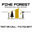 PineForest  Remodeling and Repair