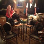Vickie Miller's photo