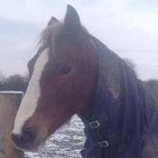 Hazel Gwilym's photo