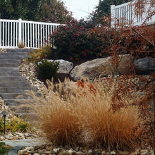 carrie_sheinfeld's Ideas