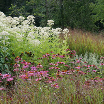 Contemporary Landscape