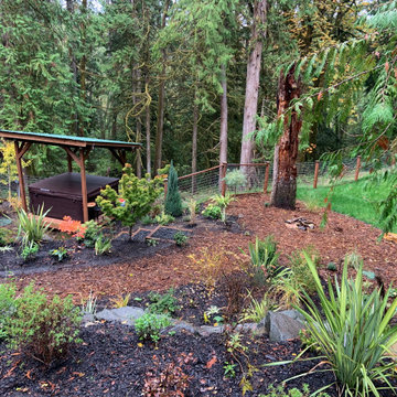 Layered Garden in the Woods
