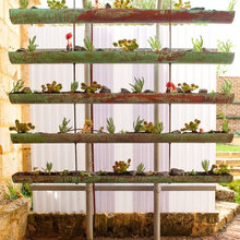 greenhouse