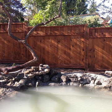 Zen Water project - ongoing