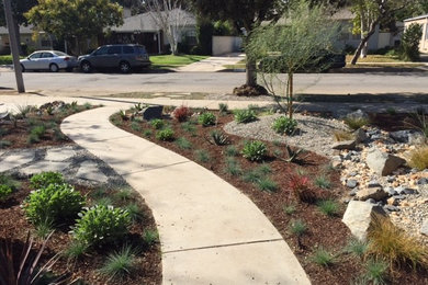 Design ideas for a southwestern landscaping in Los Angeles.